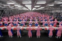 Edward Burtynsky, Deda chiken processing plant. 2002